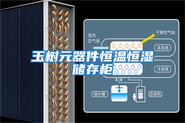 玉樹(shù)元器件恒溫恒濕儲存柜