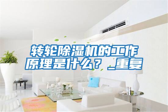 轉輪除濕機的工作原理是什么？_重復