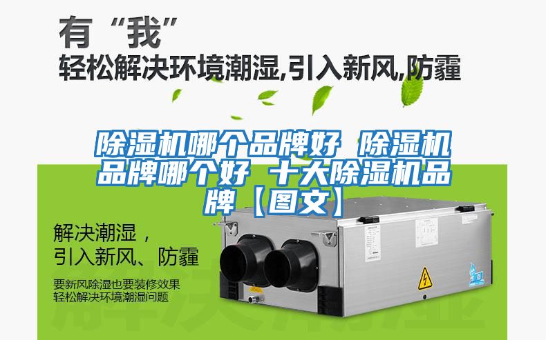 除濕機哪個(gè)品牌好 除濕機品牌哪個(gè)好 十大除濕機品牌【圖文】