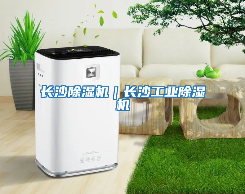 長(cháng)沙除濕機｜長(cháng)沙工業(yè)除濕機