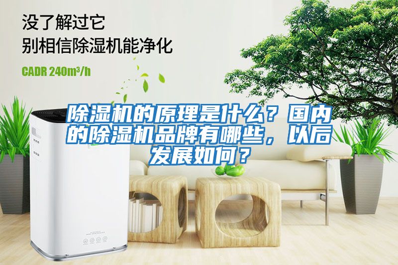 除濕機的原理是什么？國內的除濕機品牌有哪些，以后發(fā)展如何？