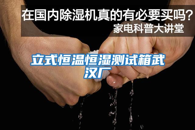 立式恒溫恒濕測試箱武漢廠(chǎng)