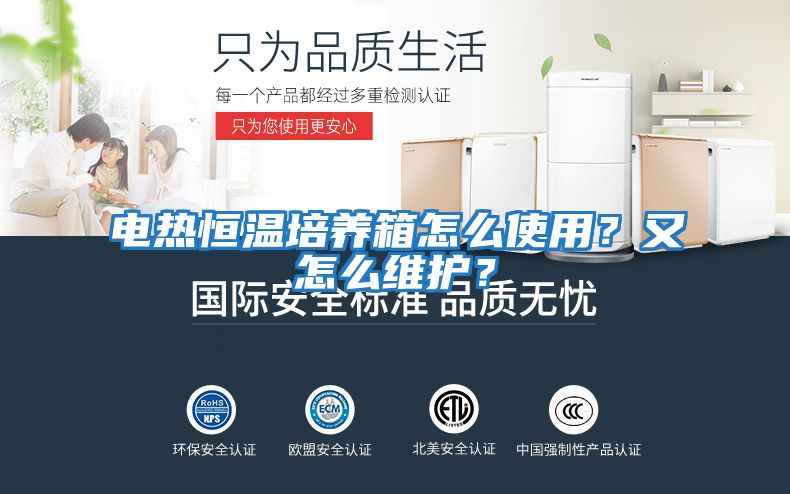 電熱恒溫培養箱怎么使用？又怎么維護？
