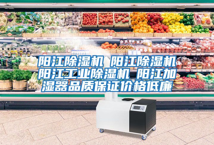 陽(yáng)江除濕機☆陽(yáng)江除濕機☆陽(yáng)江工業(yè)除濕機☆陽(yáng)江加濕器品質(zhì)保證價(jià)格低廉