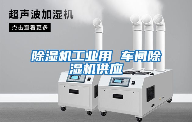 除濕機工業(yè)用 車(chē)間除濕機供應