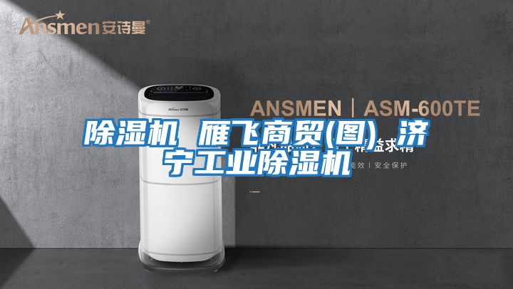除濕機 雁飛商貿(圖) 濟寧工業(yè)除濕機