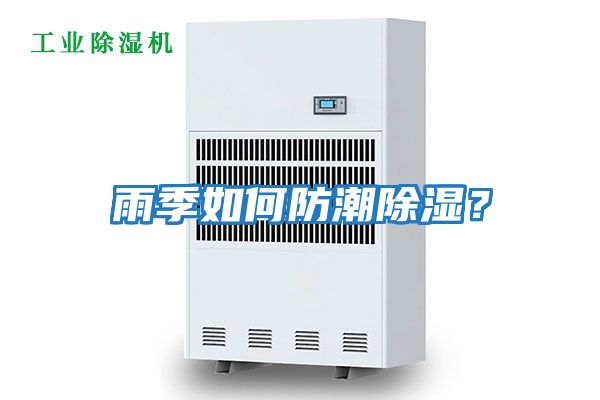 雨季如何防潮除濕？