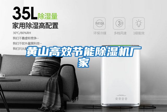 黃山高效節能除濕機廠(chǎng)家
