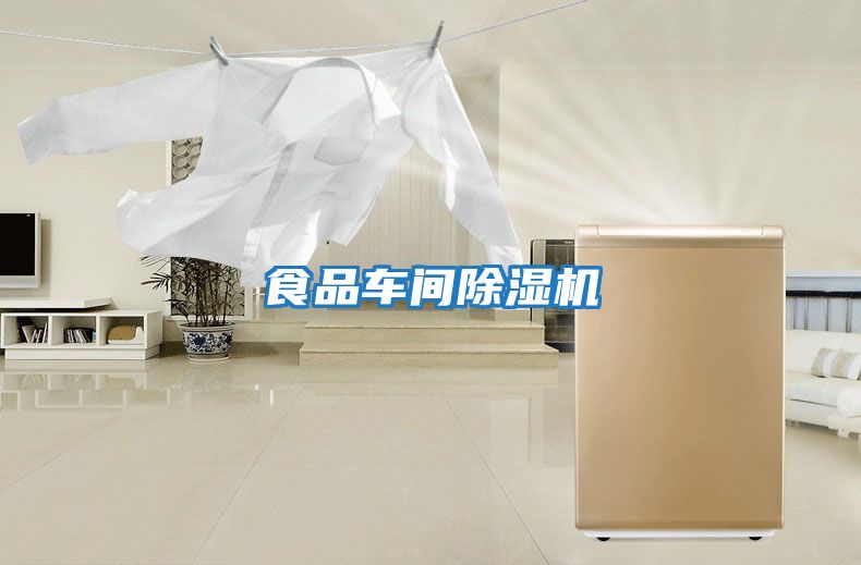 食品車(chē)間除濕機