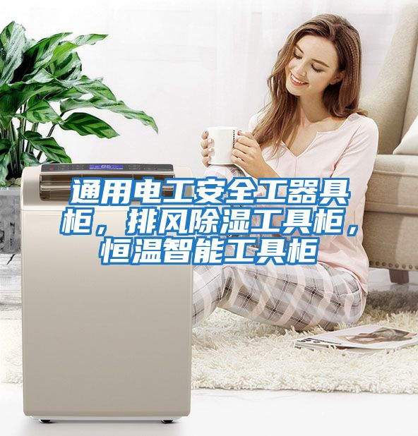 通用電工安全工器具柜，排風(fēng)除濕工具柜，恒溫智能工具柜