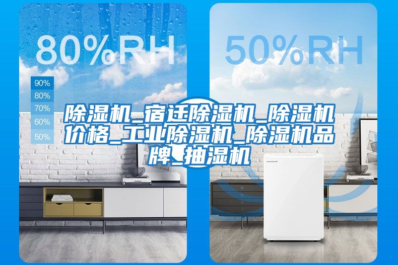 除濕機_宿遷除濕機_除濕機價(jià)格_工業(yè)除濕機_除濕機品牌_抽濕機