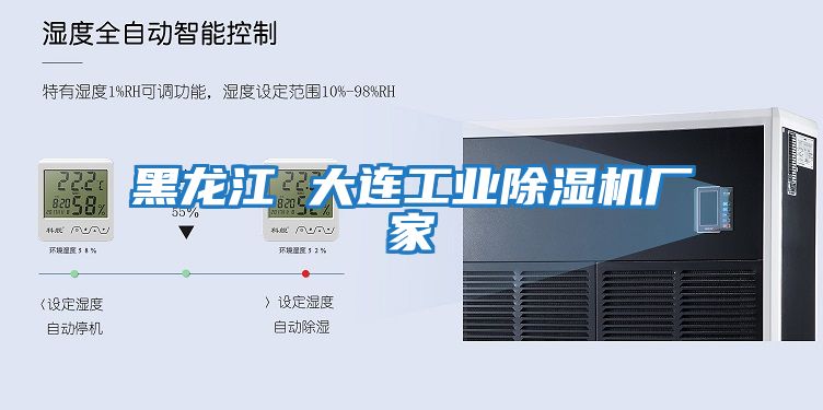 黑龍江 大連工業(yè)除濕機廠(chǎng)家