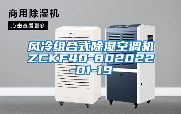 風(fēng)冷組合式除濕空調機ZCKF40-802022-01-19