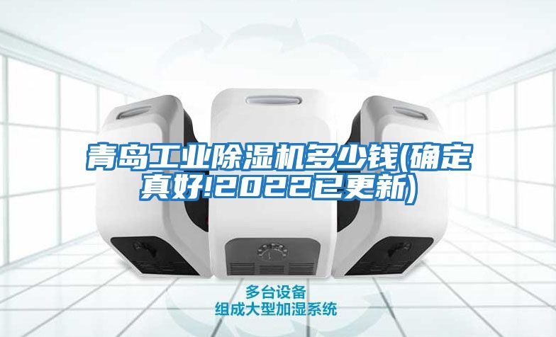 青島工業(yè)除濕機多少錢(qián)(確定真好!2022已更新)