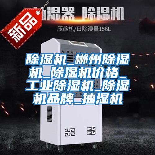 除濕機_郴州除濕機_除濕機價(jià)格_工業(yè)除濕機_除濕機品牌_抽濕機