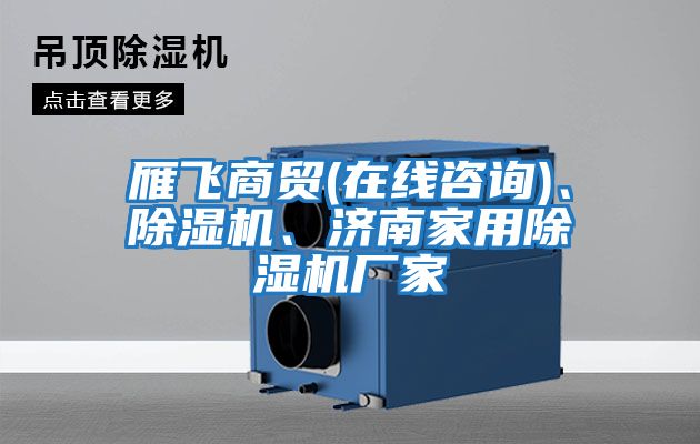 雁飛商貿(在線(xiàn)咨詢(xún))、除濕機、濟南家用除濕機廠(chǎng)家