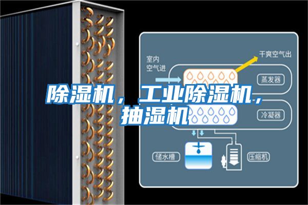 除濕機，工業(yè)除濕機，抽濕機