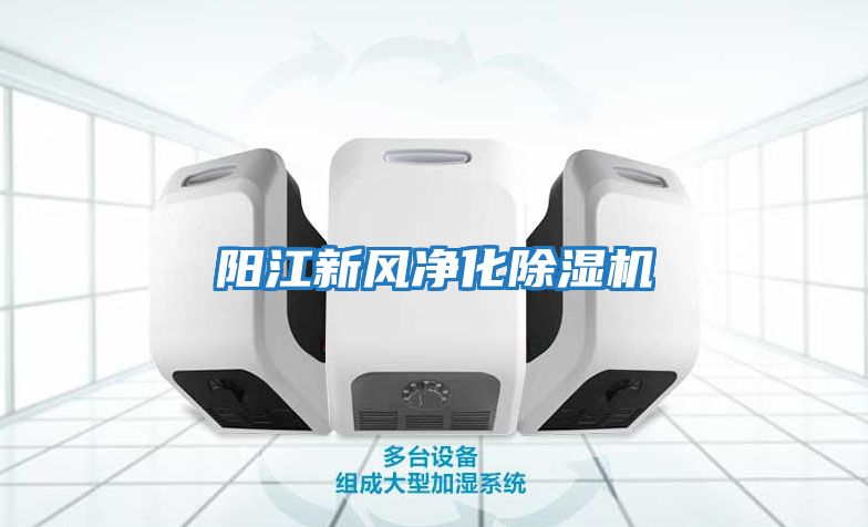 陽(yáng)江新風(fēng)凈化除濕機