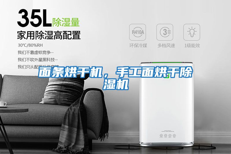 面條烘干機，手工面烘干除濕機