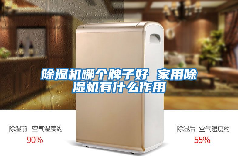 除濕機哪個(gè)牌子好 家用除濕機有什么作用