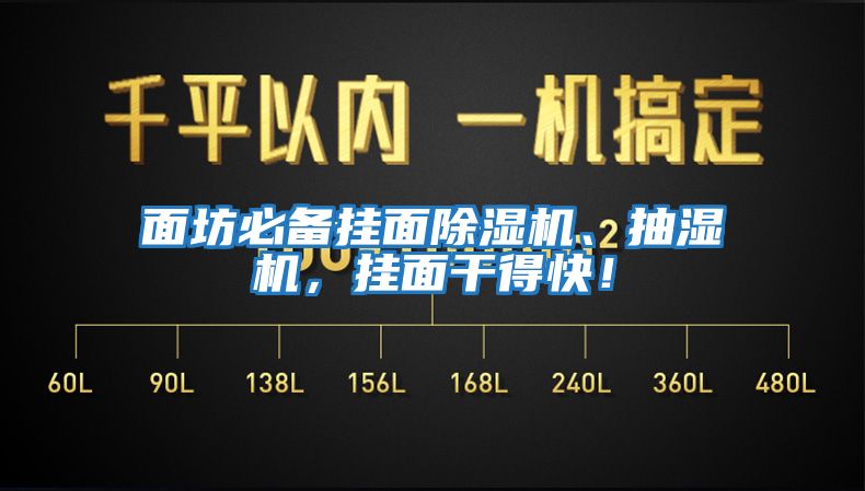 面坊必備掛面除濕機、抽濕機，掛面干得快！