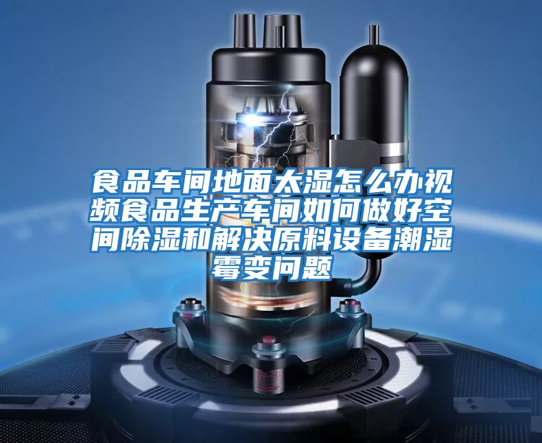 食品車(chē)間地面太濕怎么辦視頻食品生產(chǎn)車(chē)間如何做好空間除濕和解決原料設備潮濕霉變問(wèn)題