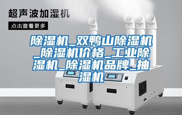 除濕機_雙鴨山除濕機_除濕機價(jià)格_工業(yè)除濕機_除濕機品牌_抽濕機