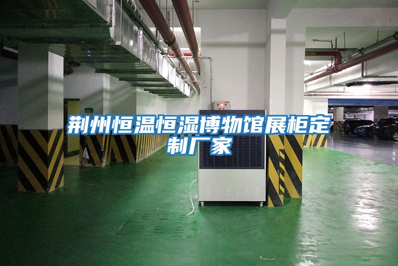 荊州恒溫恒濕博物館展柜定制廠(chǎng)家