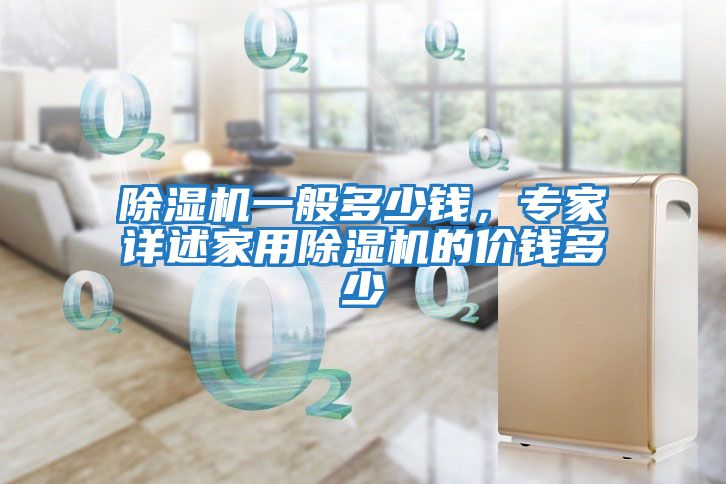 除濕機一般多少錢(qián)，專(zhuān)家詳述家用除濕機的價(jià)錢(qián)多少