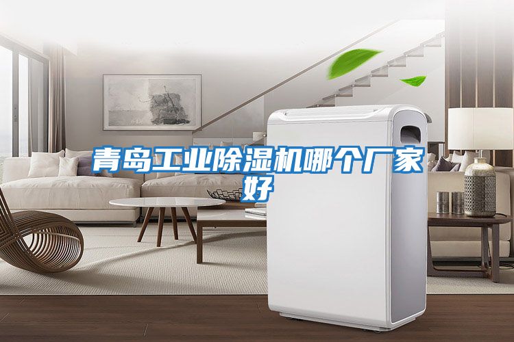 青島工業(yè)除濕機哪個(gè)廠(chǎng)家好