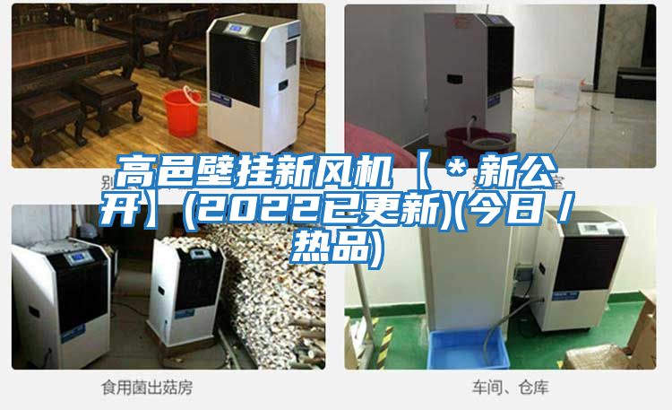 高邑壁掛新風(fēng)機【＊新公開(kāi)】(2022已更新)(今日／熱品)