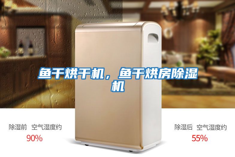 魚(yú)干烘干機，魚(yú)干烘房除濕機