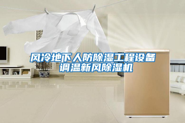 風(fēng)冷地下人防除濕工程設備 調溫新風(fēng)除濕機
