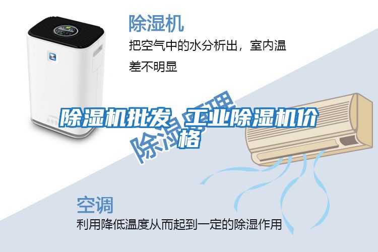 除濕機批發(fā) 工業(yè)除濕機價(jià)格