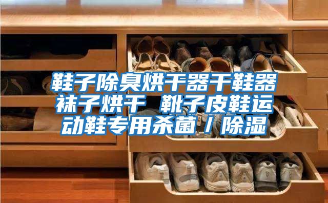 鞋子除臭烘干器干鞋器襪子烘干 靴子皮鞋運動(dòng)鞋專(zhuān)用殺菌／除濕