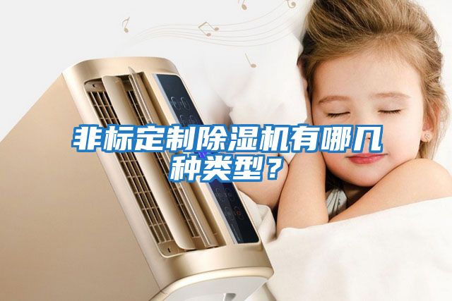 非標定制除濕機有哪幾種類(lèi)型？