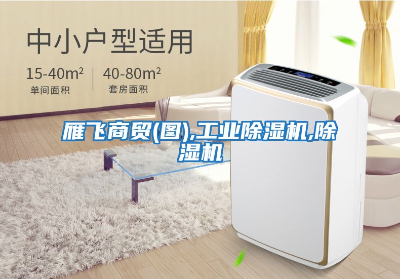 雁飛商貿(圖),工業(yè)除濕機,除濕機