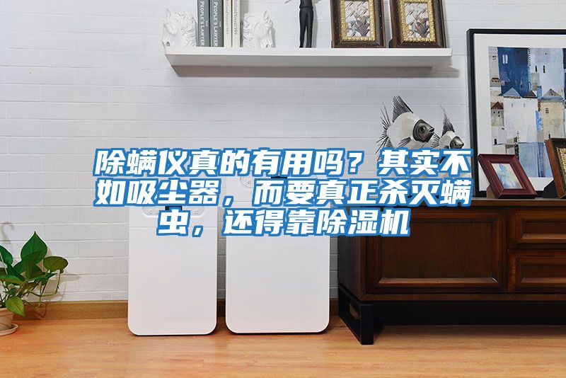 除螨儀真的有用嗎？其實(shí)不如吸塵器，而要真正殺滅螨蟲(chóng)，還得靠除濕機