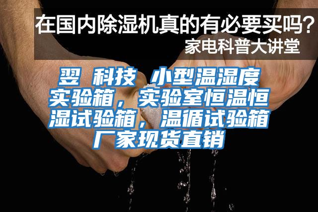 翌昇科技 小型溫濕度實(shí)驗箱，實(shí)驗室恒溫恒濕試驗箱，溫循試驗箱廠(chǎng)家現貨直銷(xiāo)