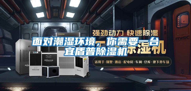 面對潮濕環(huán)境，你需要一臺宜盾普除濕機
