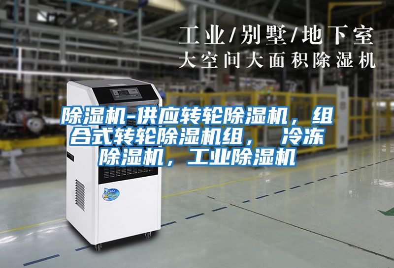 除濕機-供應轉輪除濕機，組合式轉輪除濕機組， 冷凍除濕機，工業(yè)除濕機
