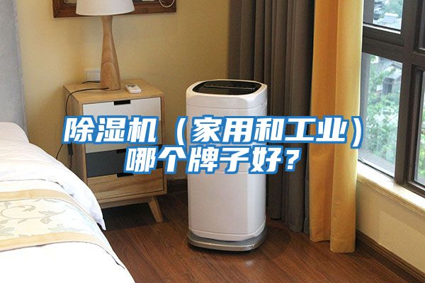 除濕機（家用和工業(yè)）哪個(gè)牌子好？