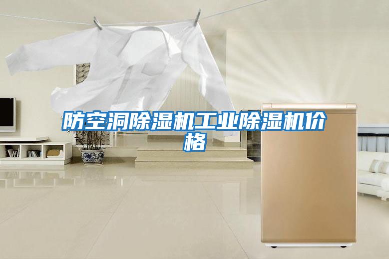 防空洞除濕機工業(yè)除濕機價(jià)格
