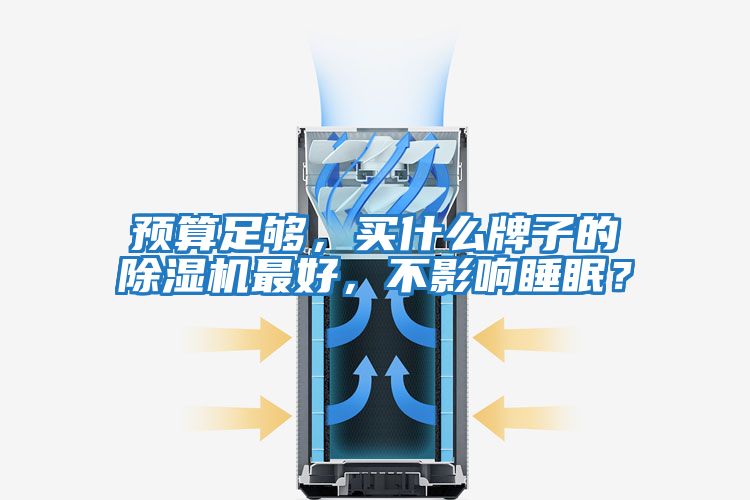 預算足夠，買(mǎi)什么牌子的除濕機最好，不影響睡眠？