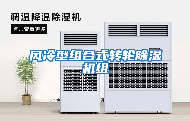 風(fēng)冷型組合式轉輪除濕機組