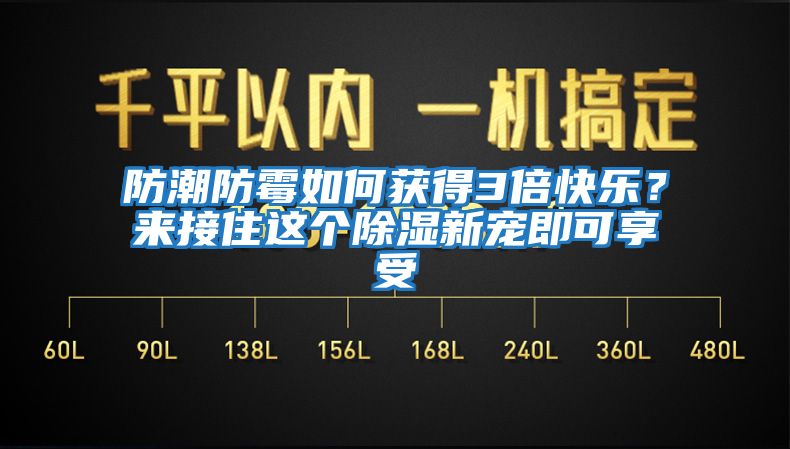 防潮防霉如何獲得3倍快樂(lè )？來(lái)接住這個(gè)除濕新寵即可享受